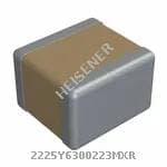 2225Y6300223MXR