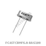 FC4STCBMF6-0-BAG100
