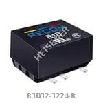 R1D12-1224-R