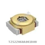 TZS2Z060A001R00