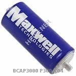 BCAP3000-P300-K04
