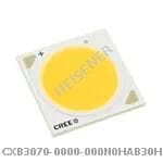 CXB3070-0000-000N0HAB30H